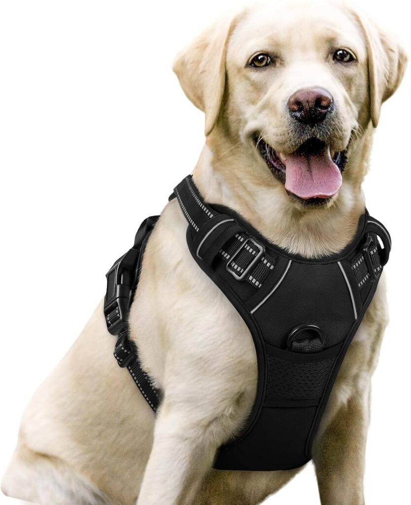 Home rabbitgoo dog harness no pull with 2 leash clips
